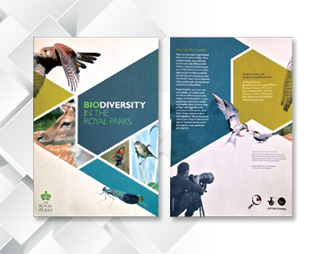 creative dairy design